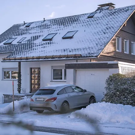 Cozy In Altastenberg With Private Terrace *